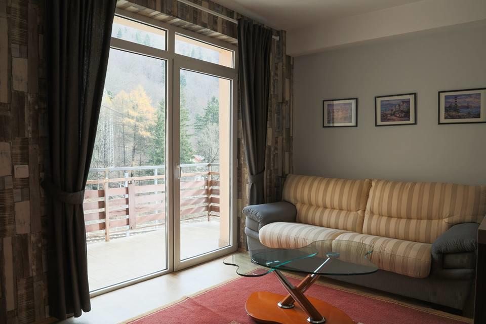 Prahova Valley Apartment Синая Екстериор снимка