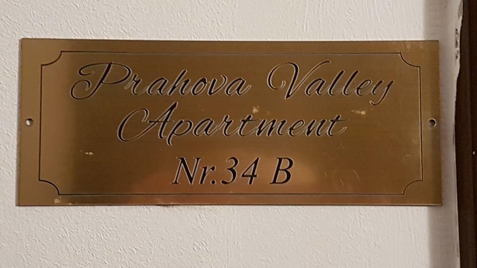 Prahova Valley Apartment Синая Екстериор снимка