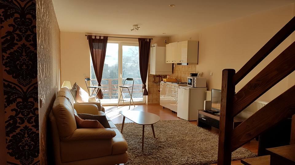 Prahova Valley Apartment Синая Екстериор снимка