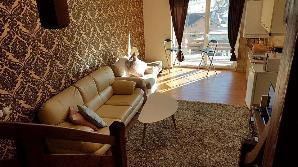 Prahova Valley Apartment Синая Екстериор снимка